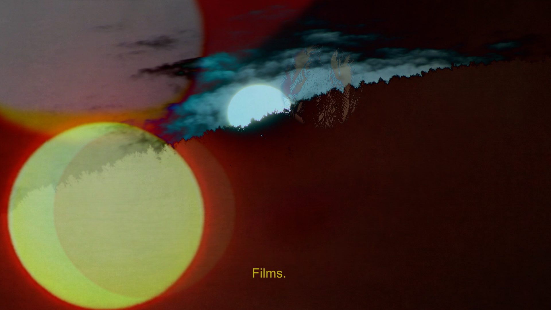 Sylvia Schedelbauer (AFA50)